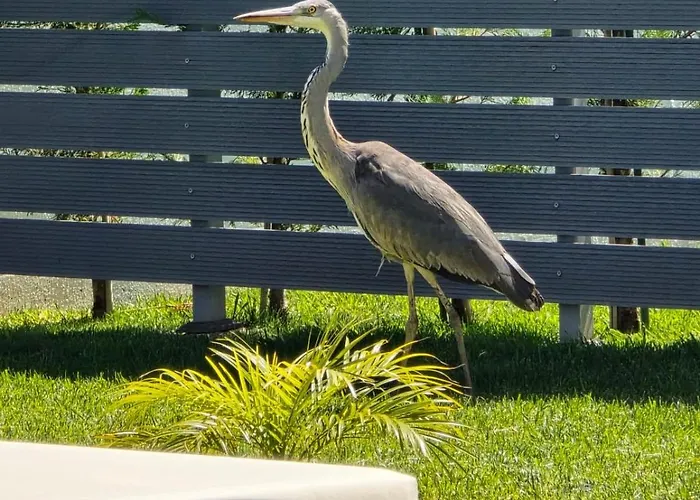 D&r Boutique R * Gennadi