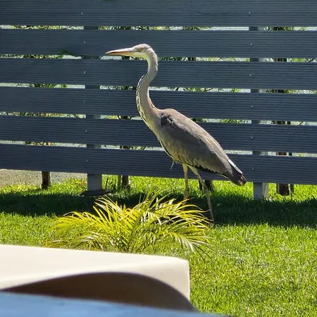 D&r Boutique R * Gennadi